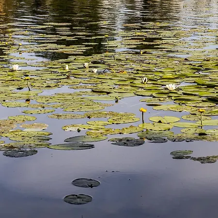 Apartment Lakeview In *