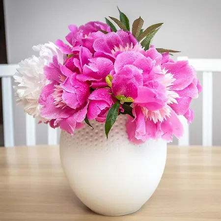 Apartment Lakeview In