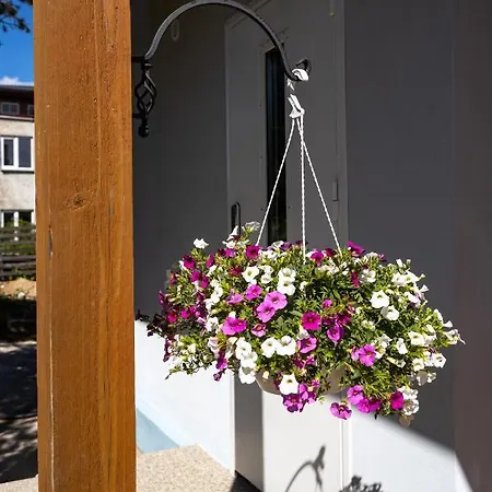 Lakeview In Viljandi (Viljandimaa)